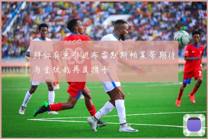 拜仁有意引进布雷默斯帕莱蒂期待与金玟哉再度携手