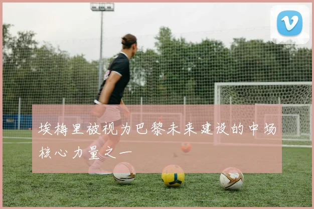 埃梅里被视为巴黎未来建设的中场核心力量之一